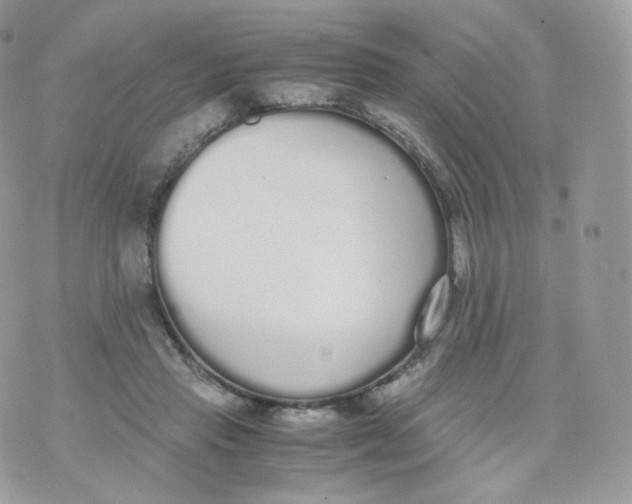 X0000070380453200606301925