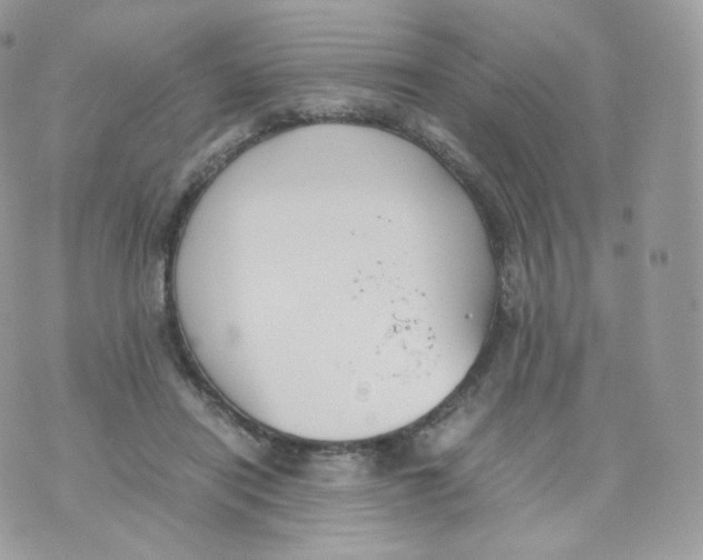 X0000070380454200606301925