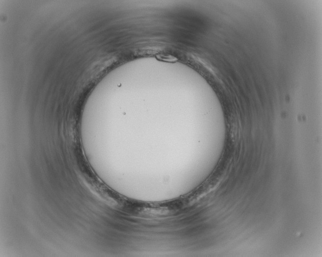 X0000070380455200606301925