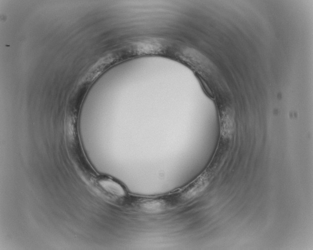 X0000070380456200606301925