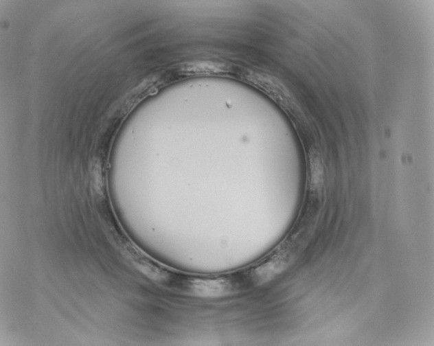 X0000070380457200606301925