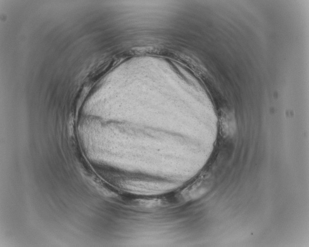 X0000070380458200606301925