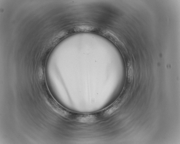 X0000070380459200606301926