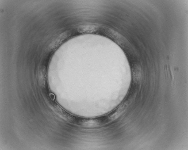 X0000070380460200606301926