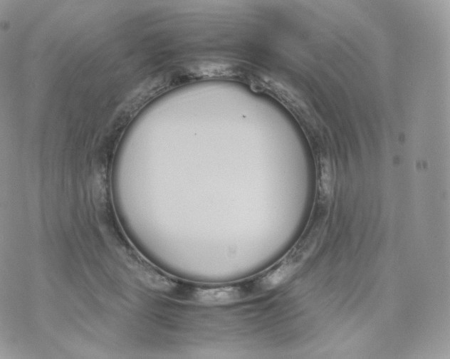 X0000070380461200606301926