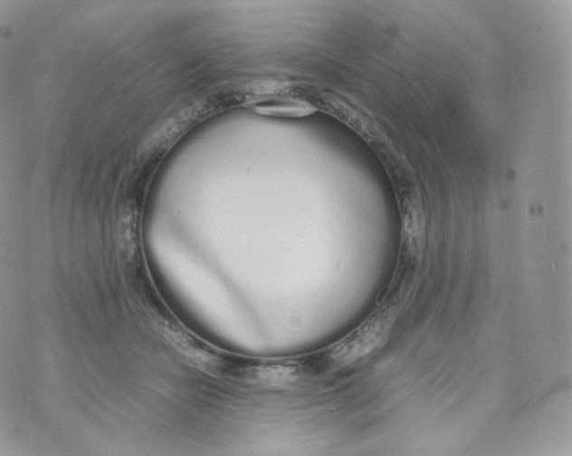 X0000070380462200606301926