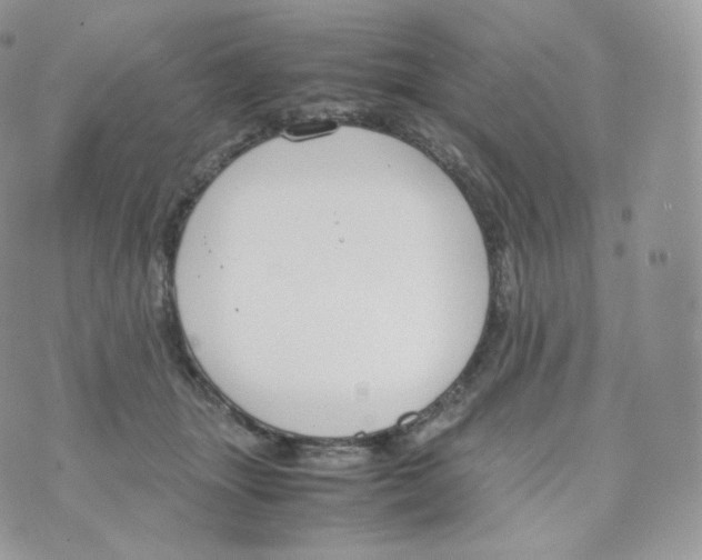 X0000070380463200606301926