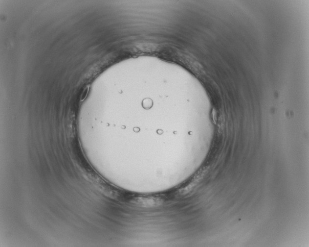 X0000070380464200606301926