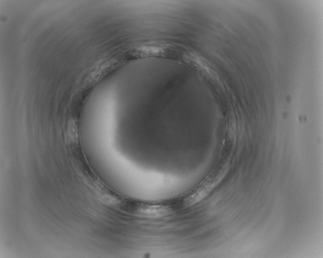 X0000070380467200606301926