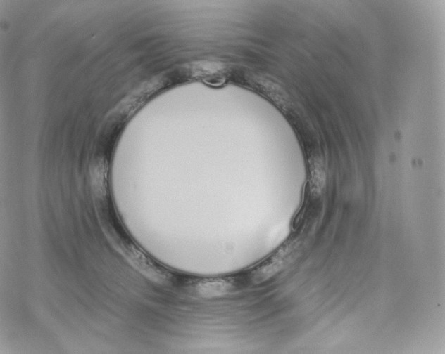 X0000070380468200606301926