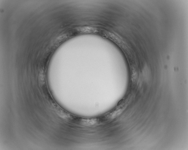 X0000070380469200606301926