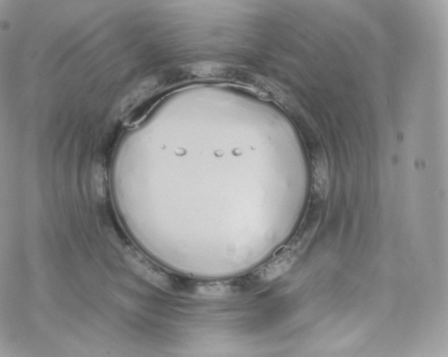 X0000070380470200606301926