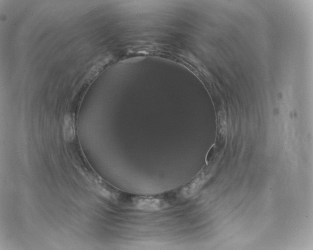 X0000070380471200606301926