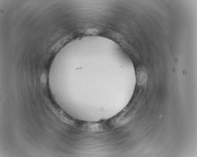 X0000070380472200606301926