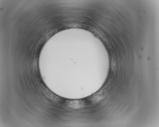 X0000070380473200606301926