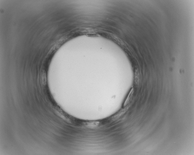 X0000070380474200606301926