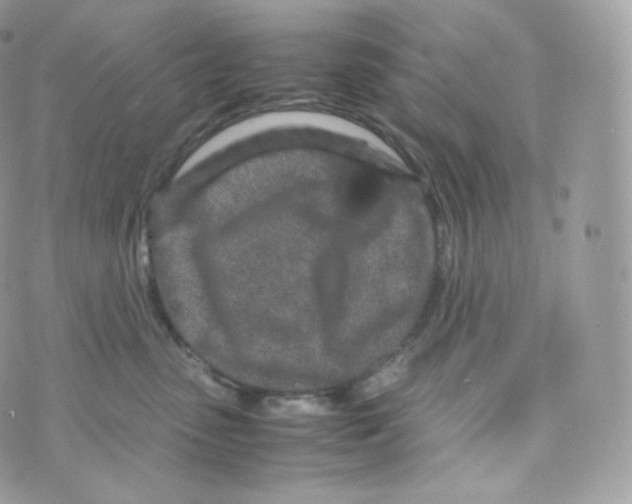 X0000070380475200606301926