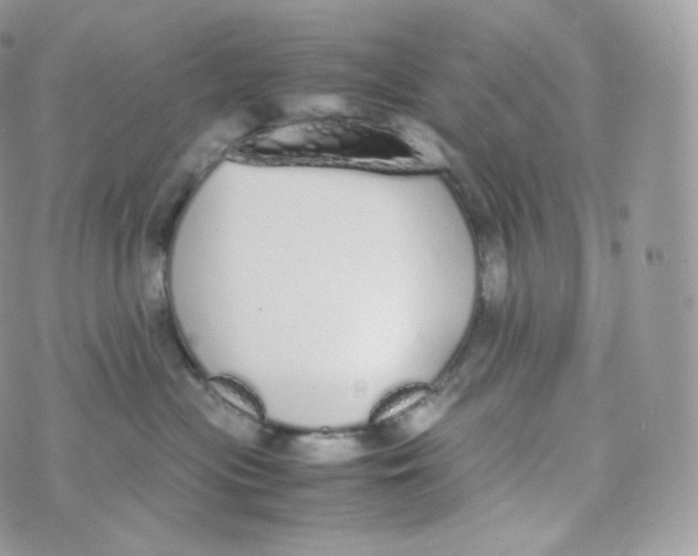 X0000070380477200606301926