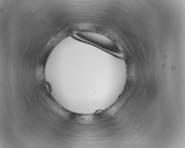 X0000070380478200606301926