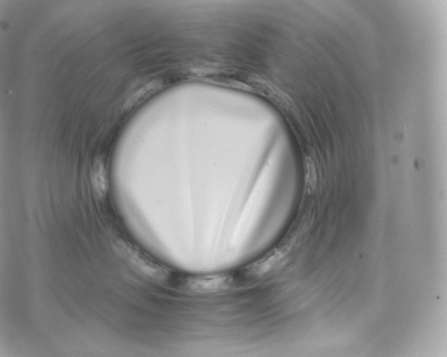 X0000070380479200606301926