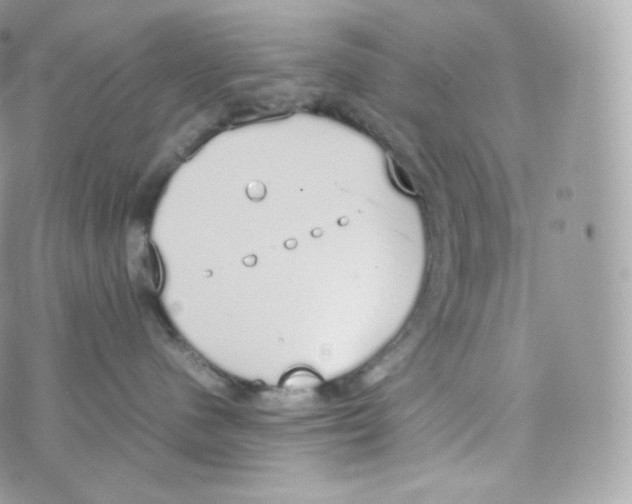 X0000070380480200606301926