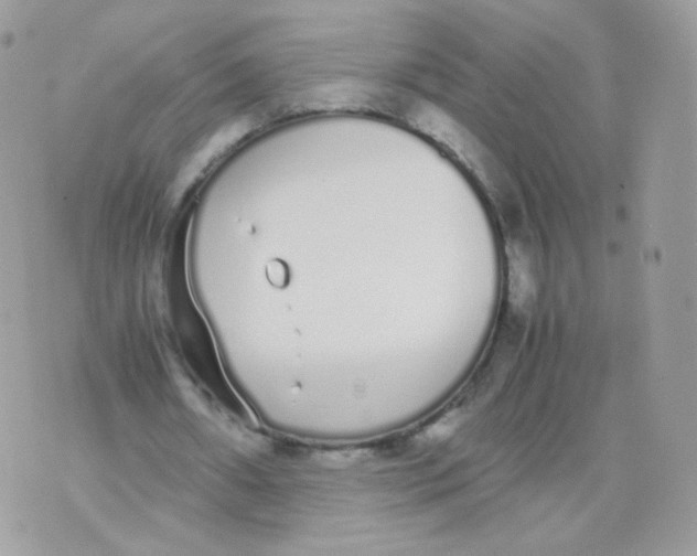 X0000070380482200606301925