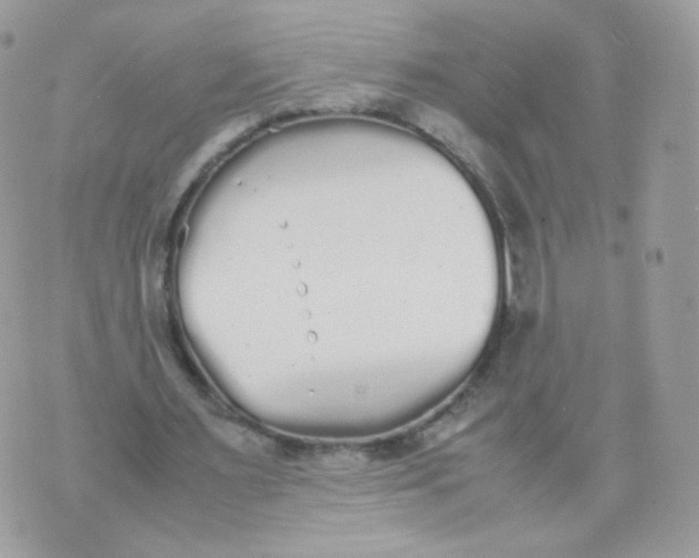 X0000070380483200606301925