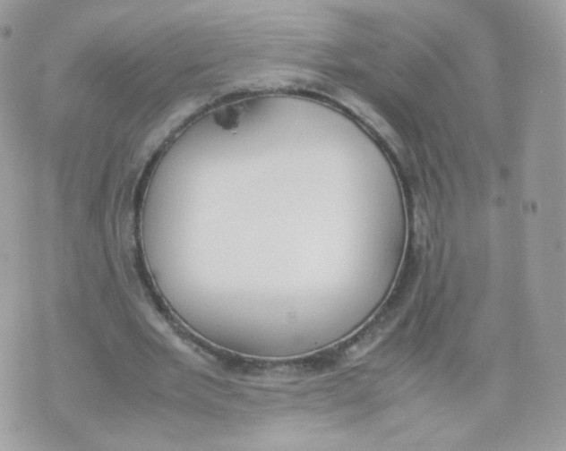 X0000070380485200606301925