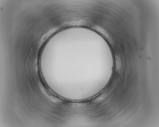 X0000070380486200606301925