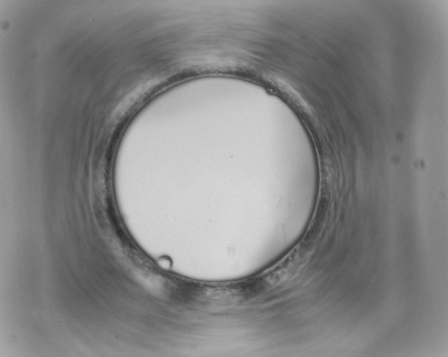 X0000070380487200606301925