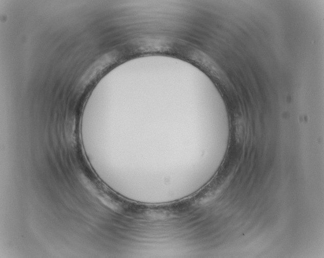 X0000070380490200606301925