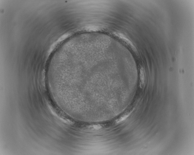 X0000070380492200606301925