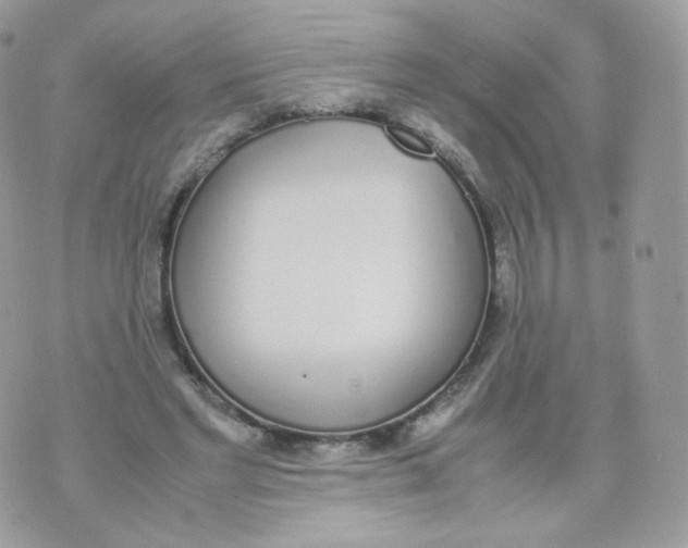 X0000070380493200606301925