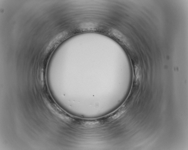 X0000070380494200606301925