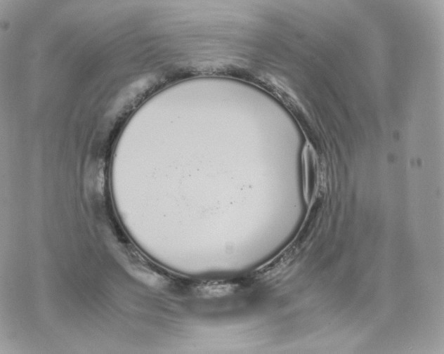 X0000070380495200606301925