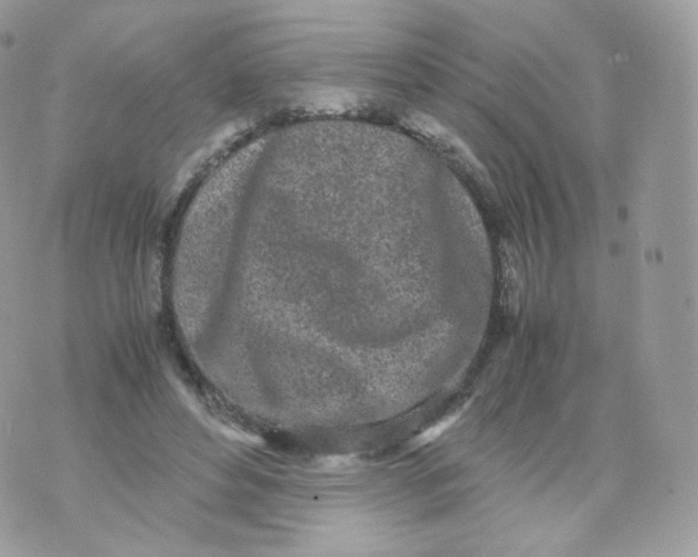 X0000070380496200606301925