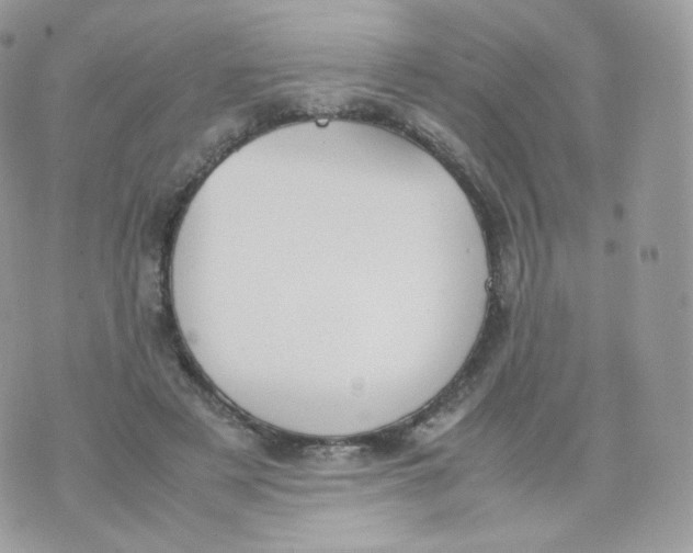 X0000070380497200606301925