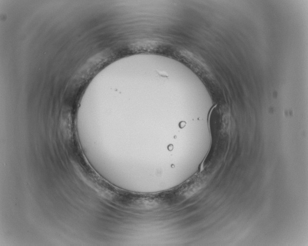 X0000070380498200606301925