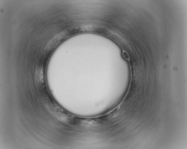 X0000070380502200606301925