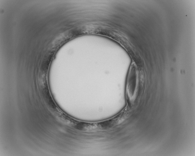 X0000070380503200606301925