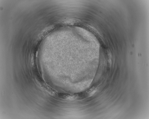 X0000070380504200606301925