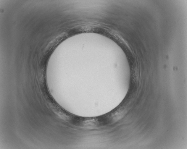 X0000070380505200606301925