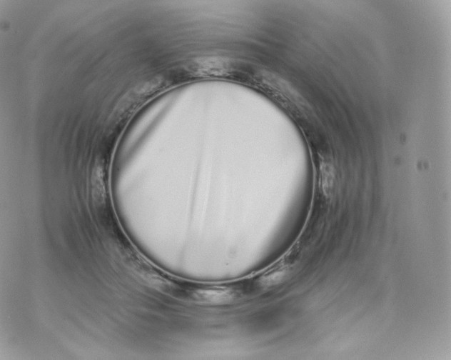 X0000070380506200606301925