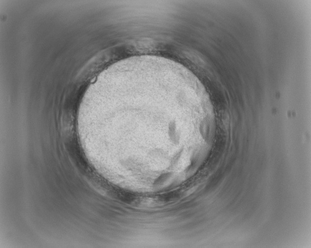 X0000070380507200606301925