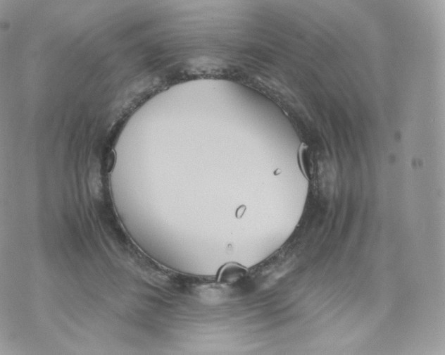 X0000070380508200606301925