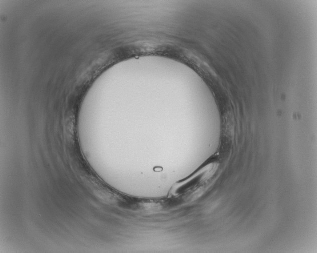 X0000070380509200606301925