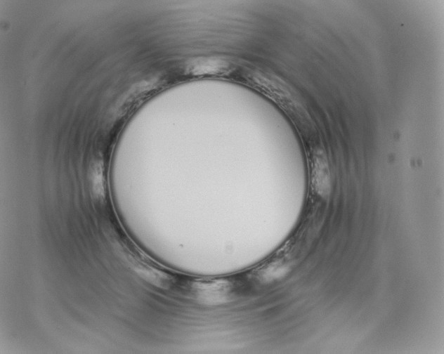 X0000070380510200606301925