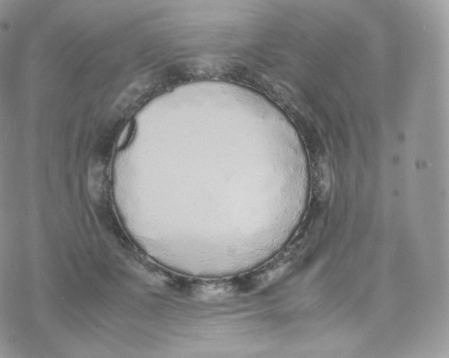 X0000070380511200606301925