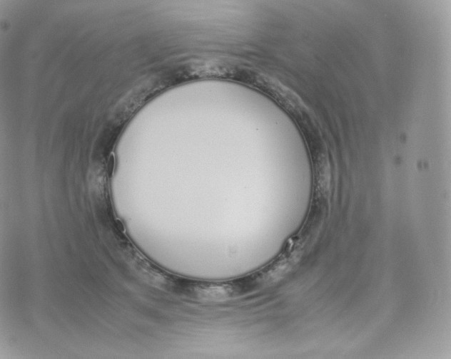 X0000070380513200606301925