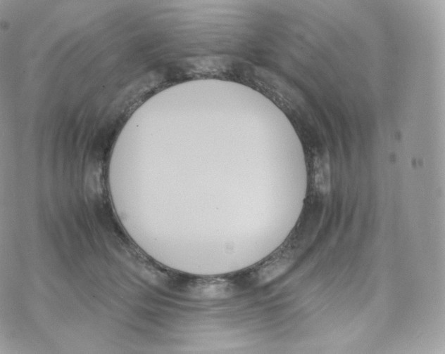 X0000070380514200606301925